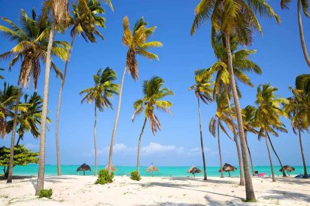 Zanzibar-Beach-Experience