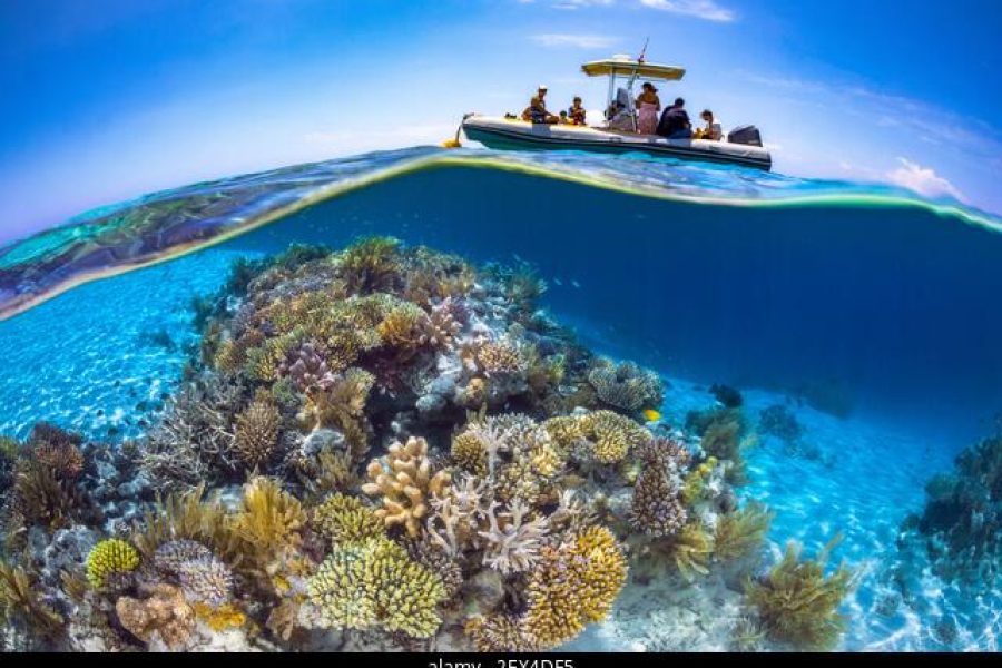 Mayotte Lagoon