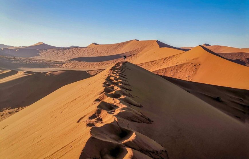 Best Of Namibia Desert, Culture & Wildlife Safari  – 9 Days