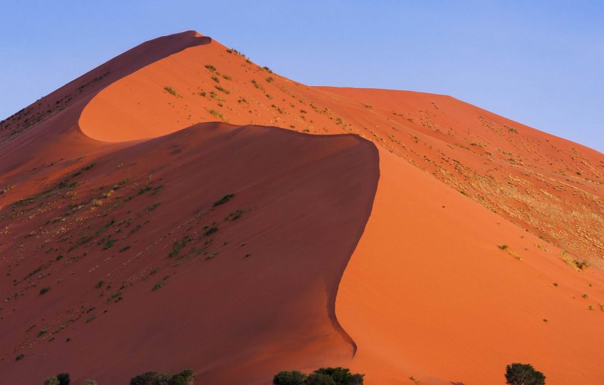 Best Of Namibia Desert, Culture & Wildlife Safari  – 9 Days