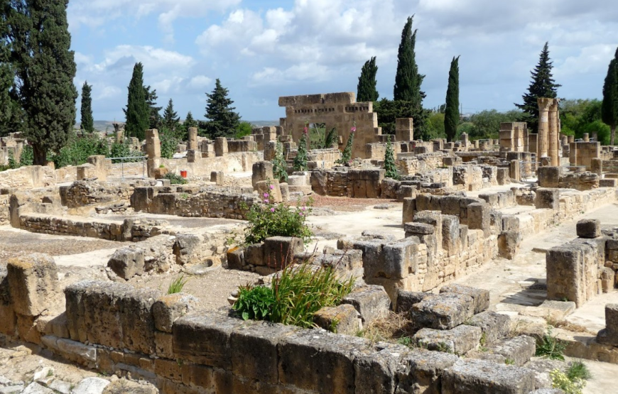 ETERNAL TUNISIA: TRACING THE PATH OF HANNIBAL AND THE CAESARS -7 DAYS