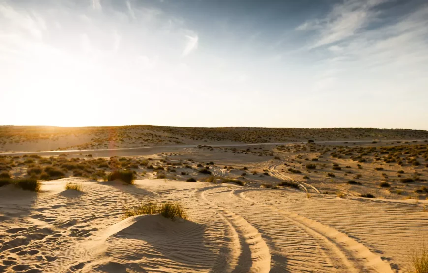 TUNISIA: FROM CARTHAGE TO THE OASES. A 10-DAY ODYSSEY, BRIDGING HISTORY AND THE SAHARA