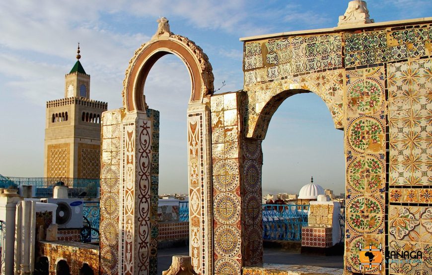 ETERNAL TUNISIA: TRACING THE PATH OF HANNIBAL AND THE CAESARS -7 DAYS