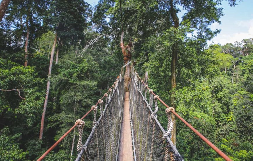 SENEGAL,THE GAMBIA,IVORY COAST,BENIN,TOGO,GHANA, NIGERIA – 27 DAYS