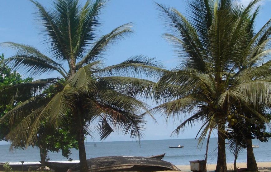 CAMEROON BAGYELI PEOPLE CULTURAL TOUR-7 DAYS