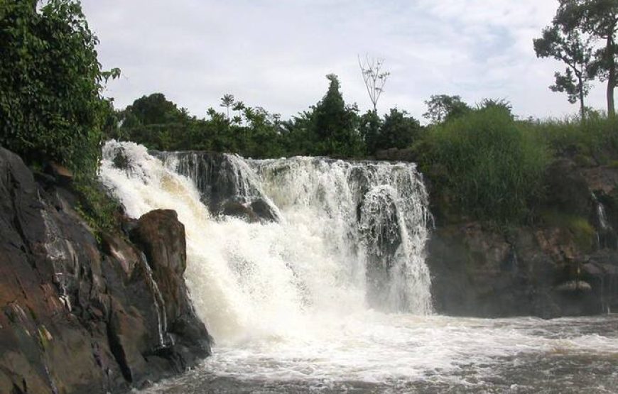 BAGYELI PEOPLE & CAMPO MA’AN NATIONAL PARK – 9 DAYS