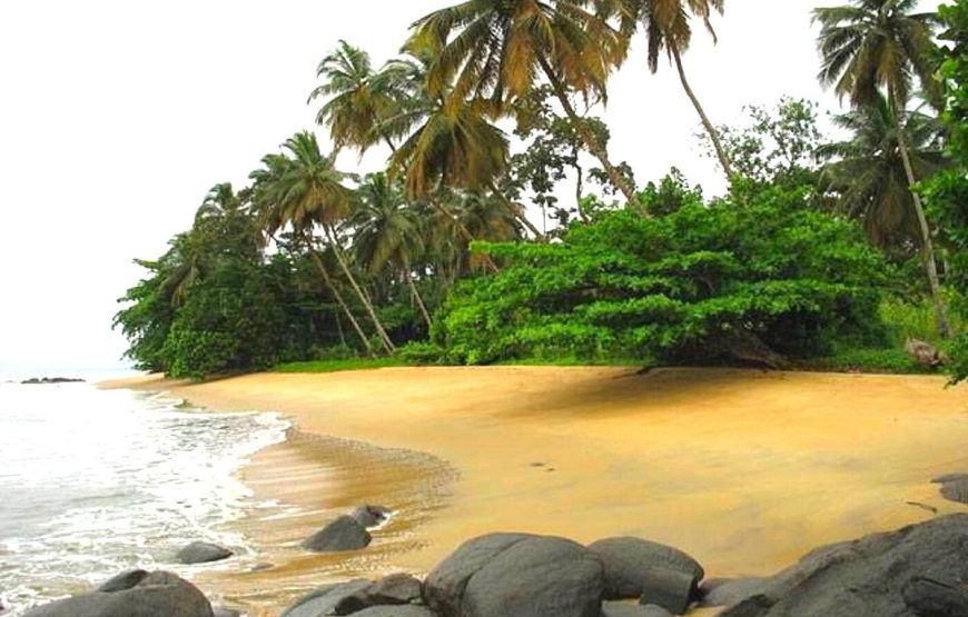 CAMEROON BAGYELI PEOPLE CULTURAL TOUR-7 DAYS