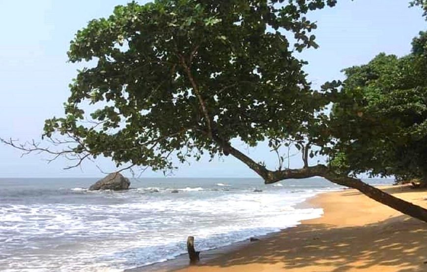 CAMEROON BAGYELI PEOPLE CULTURAL TOUR-7 DAYS