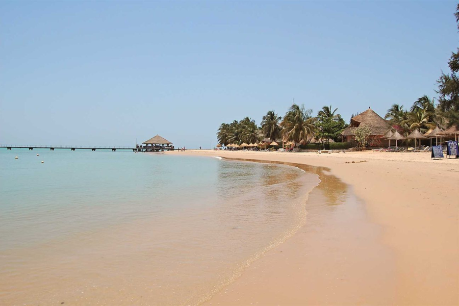 Senegal Unveiled: City, Heritage, Wildlife & Shore – 5 Days