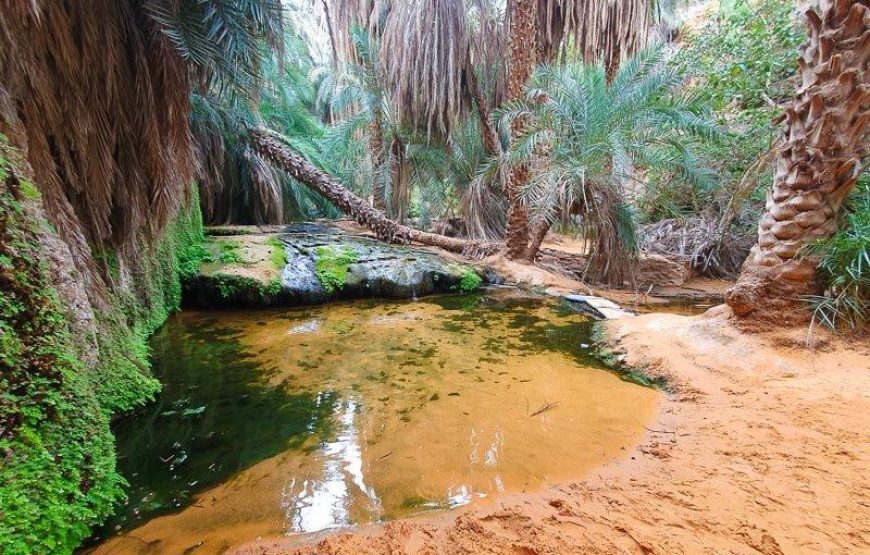 MAURITANIA & SENEGAL DISCOVERY -14 DAYS