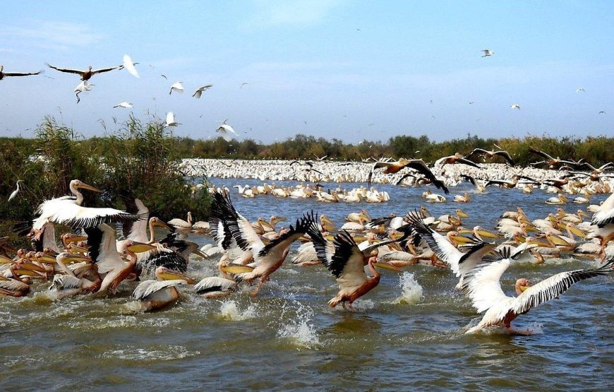 MAURITANIA & SENEGAL DISCOVERY -14 DAYS