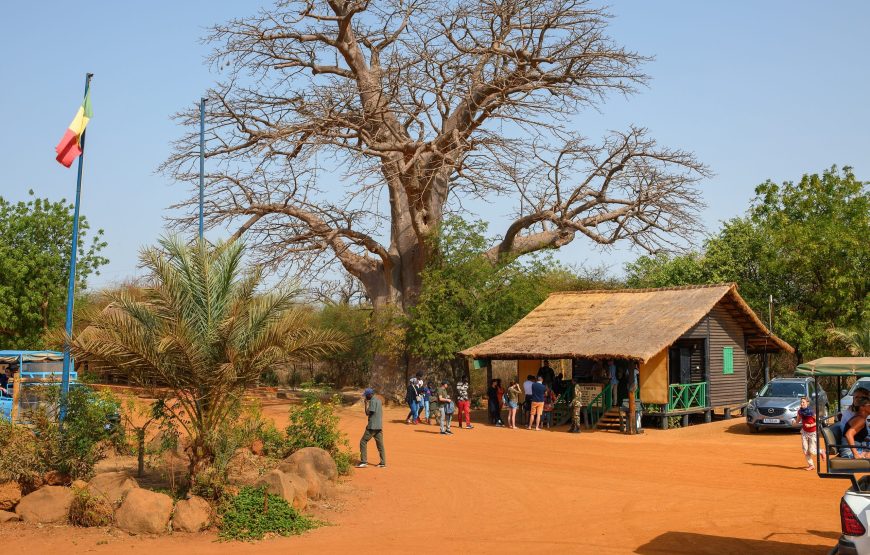 Senegal Travel Agent FAM Trip, April 11 to 18, 2027